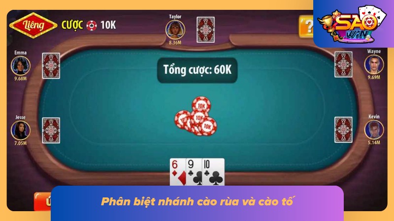 Hướng Dẫn Tham Gia Bài Cào Chuẩn Cho Tân Thủ Tại Saowin 3 Hai nhánh đặc trưng của bài cào