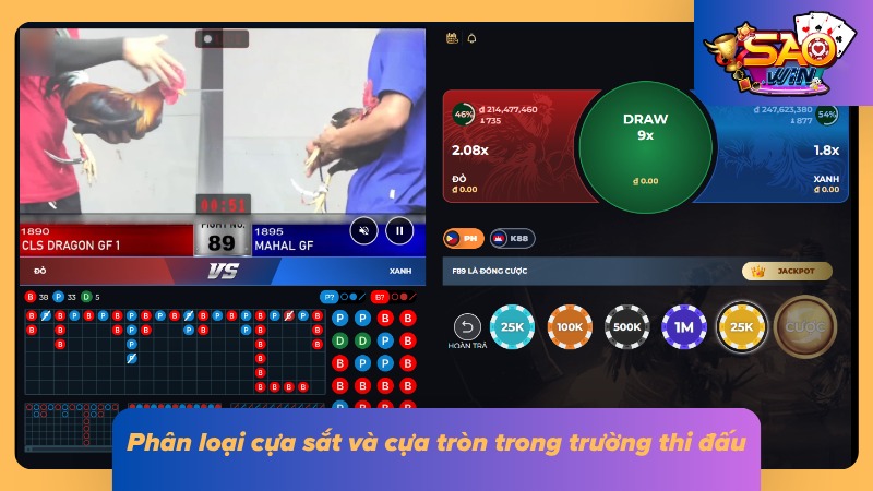 Đá Gà Campuchia: Tổng Quan Trường Đấu Và Luật Chơi Chi Tiết 5 Phân biệt cựa sắt và cựa tròn theo đặc điểm từng loại