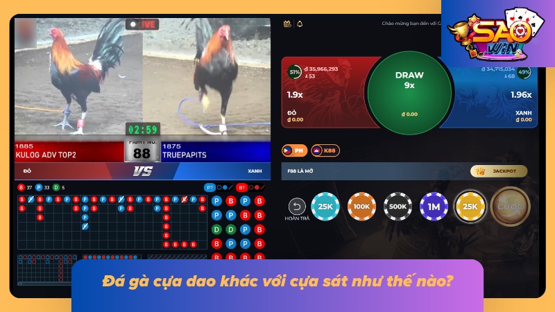 Đá Gà Cựa Dao SAOWIN - Chi Tiết Luật Cược Gà Đá Và Bí Kíp Bất Bại 2 Sự khác biệt giữa hai thể loại