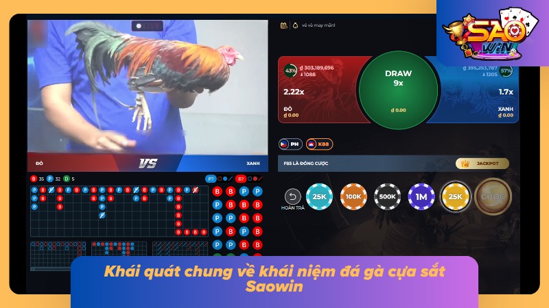 Đá Gà Cựa Sắt Saowin - Sảnh Cược Gà Đá Đẳng Cấp Châu Á 1 Khái niệm hình thức Cockfighting vạn người mê