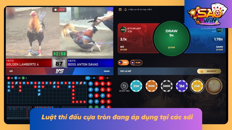 Đá Gà Cựa Tròn | Hiểu Về Loại Cựa, Luật Trận Và Soi Chiến Kê 3 Các điều kiện phân định được thể hiện rõ trong từng tình huống trên sới