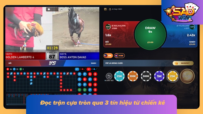 Đá Gà Cựa Tròn | Hiểu Về Loại Cựa, Luật Trận Và Soi Chiến Kê 6 Quan sát thể trạng và phản ứng giúp theo dõi diễn biến chiến kê