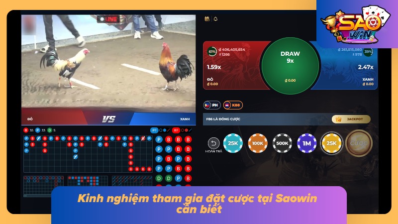 Đá Gà Thomo Saowin - Trận Chiến Đỉnh Cao Không Thể Bỏ Lỡ 4 Bí quyết đặt cược tại Saowin của cao thủ